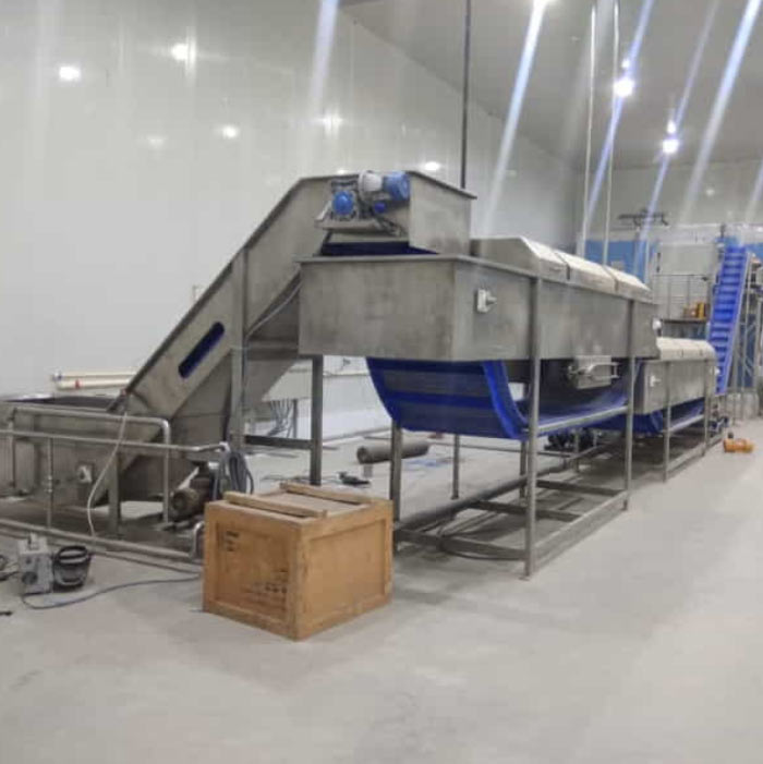 IQF – Peas & Vegetables Freezers Manufacturers in Bangalore